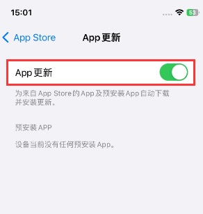 河北苹果15维修中心如何让iPhone15APP自动更新